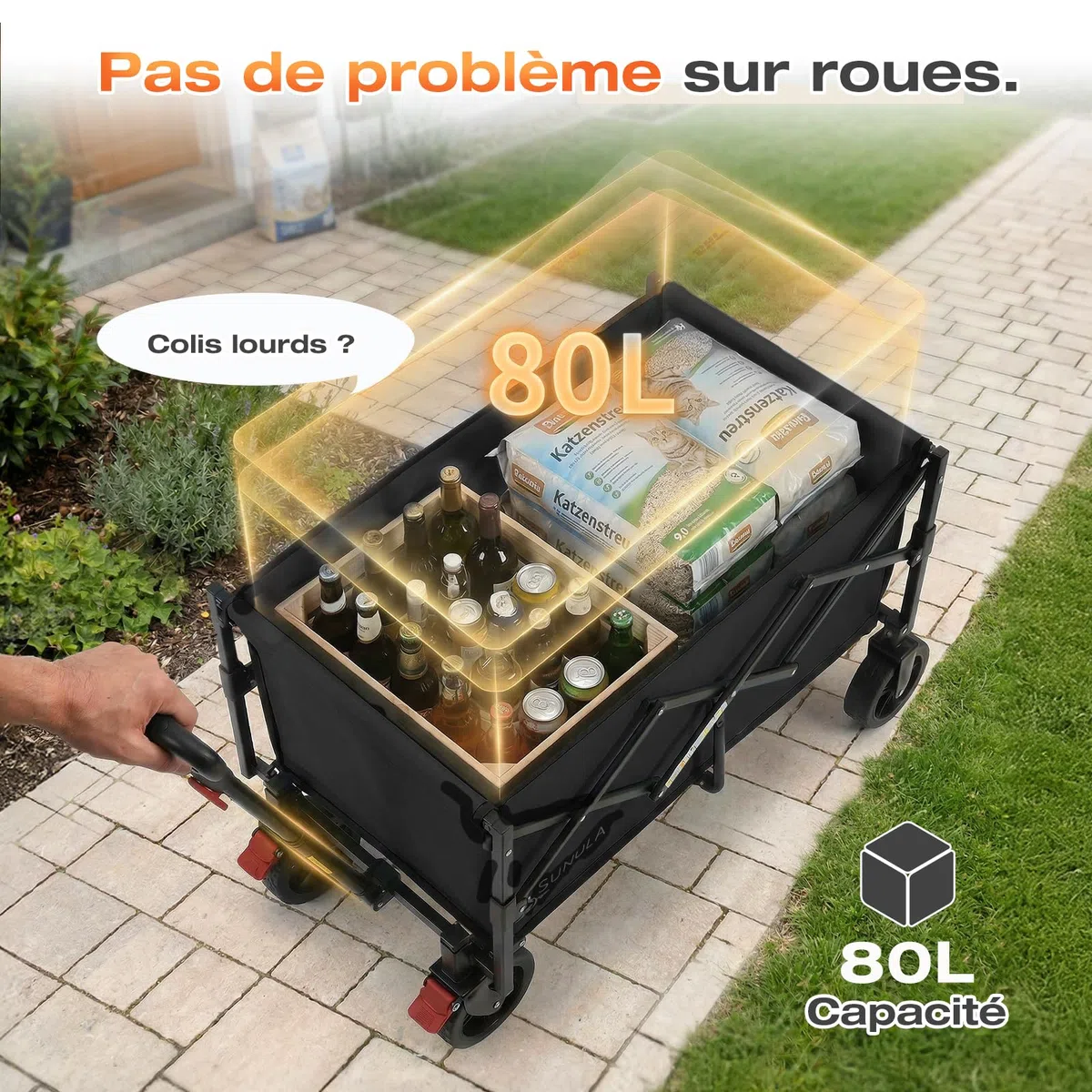 SUNULA Chariot Pliable Petit 80L 100KG Pliable avec Poids réduit, Chariot Tout-Terrain avec Freins, Noir