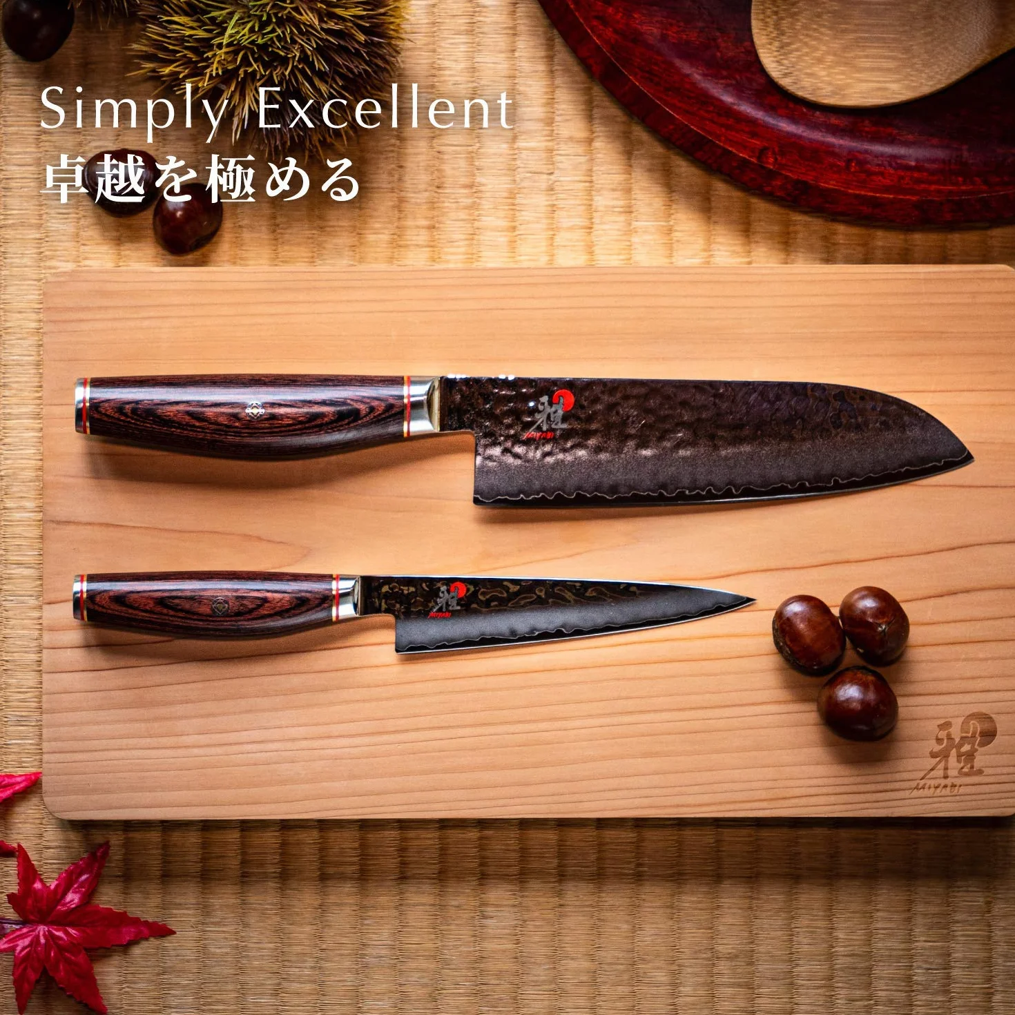 Miyabi 340782410 Sujihiki 240 6000 MCT, Acier, Brun, 37 x 6 x 3 cm
