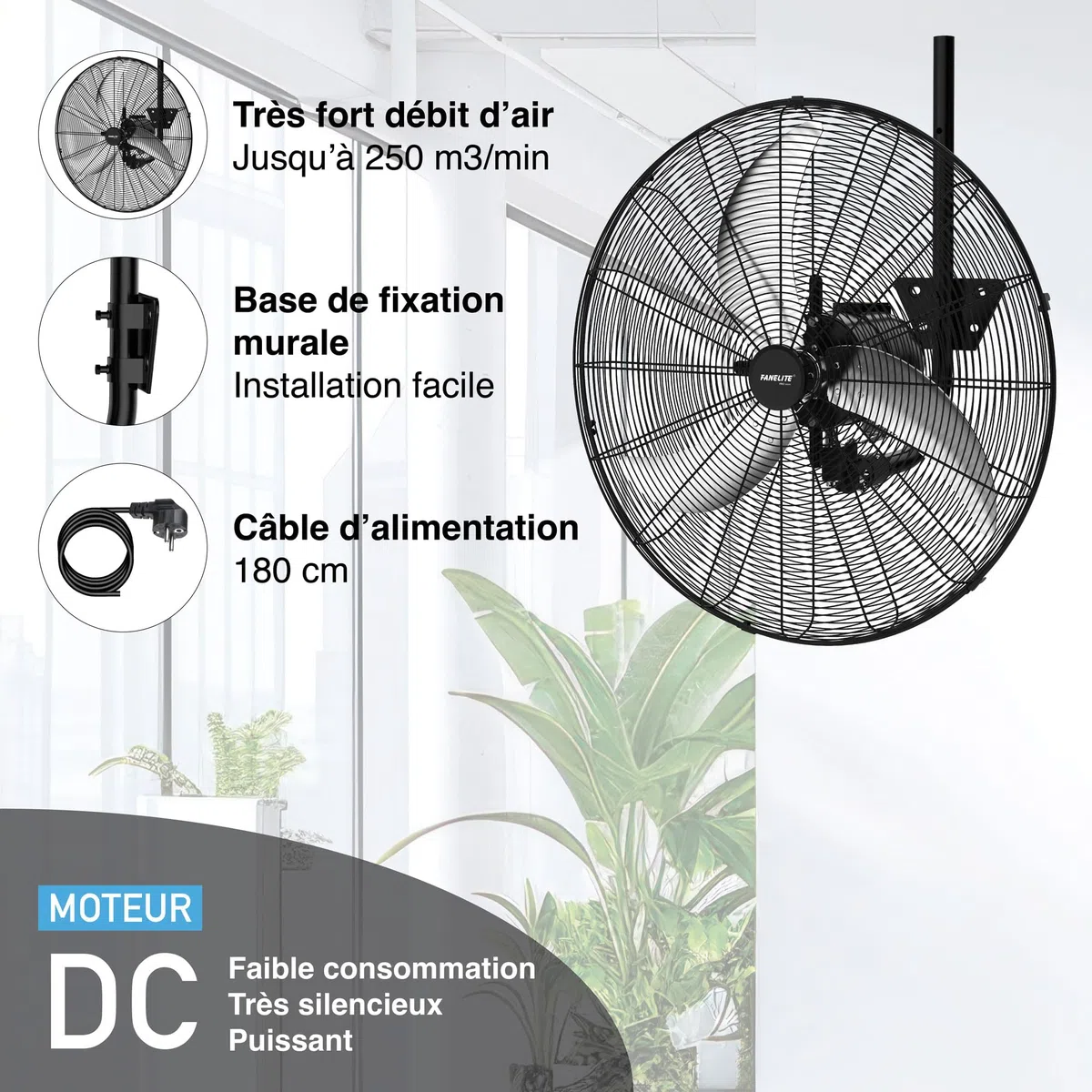 Fanelite Ventilateur mural professionnel FW65-DC – 65 cm – Moteur DC silencieux – Débit d’air 250 m³/min – 6 vitesses – Télécommande – Puissant – Usage pro/commercial
